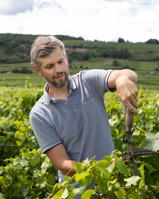 Domaine Darviot-Perrin