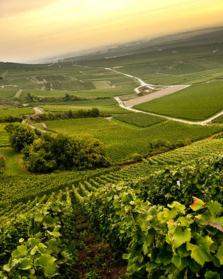 Siret Frère & Soeur